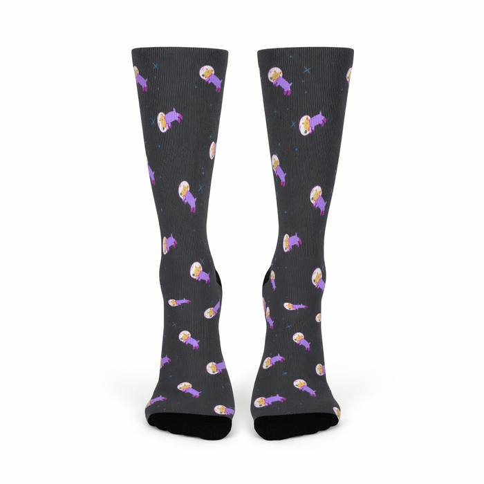 Space Adventure Dog Fun Socks Default