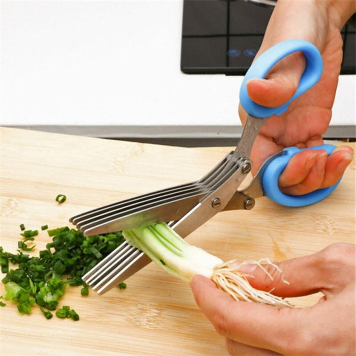 Stainless Steel Scissor for Chopping Vegetables with Multiple Layers: silver, blue multi-blade kitchen scissors, functional k