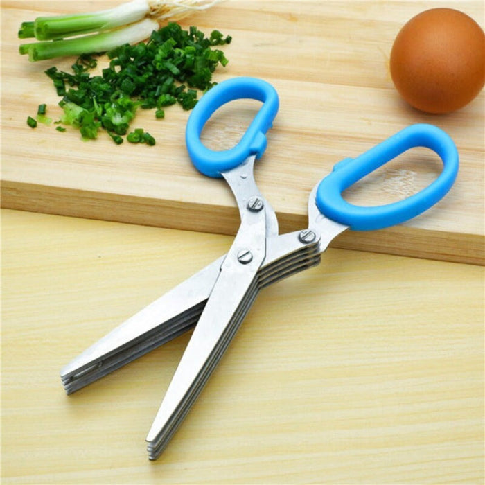 Stainless Steel Scissor for Chopping Vegetables with Multiple Layers: silver, blue multi-blade kitchen scissors, functional k