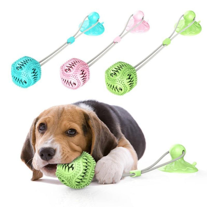 Suction Cup Dog Chew Toy: green, pink dog toy, functional pet accessory style
