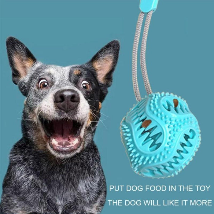 Suction Cup Dog Chew Toy: green, pink dog toy, functional pet accessory style