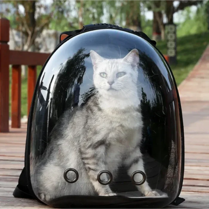 Transparent Cat Carrier with Enhanced Airflow: black, transparent cat, modern minimal style