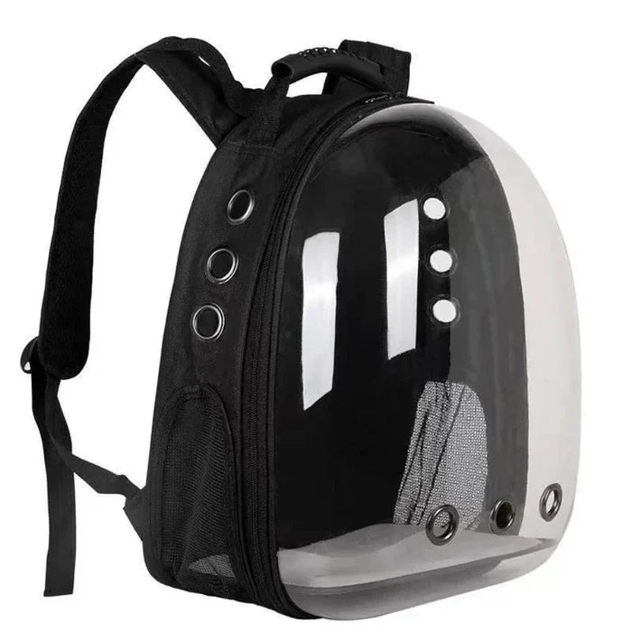 Transparent Cat Carrier with Enhanced Airflow: black, transparent cat, modern minimal style