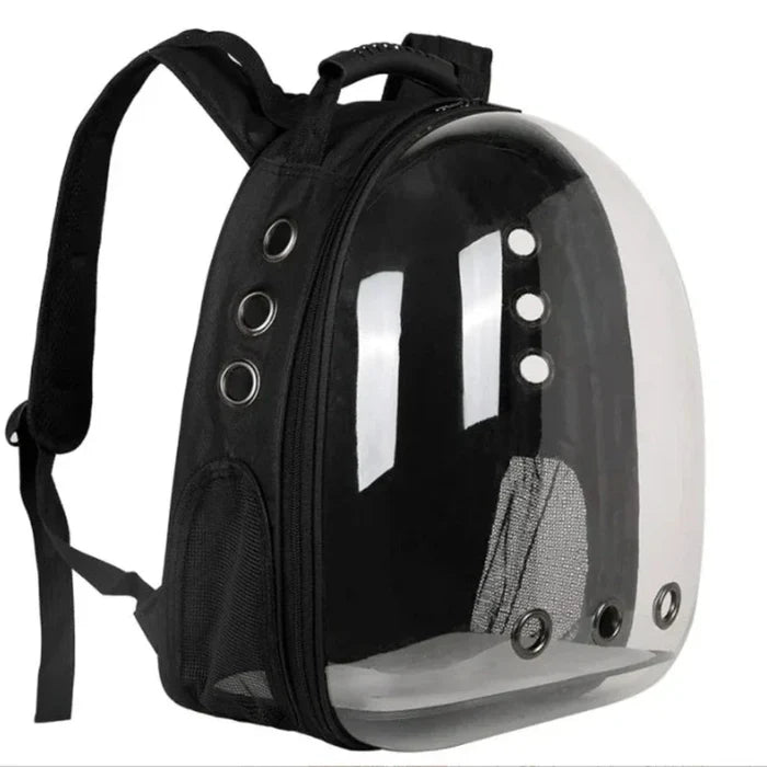 Transparent Cat Carrier with Enhanced Airflow: black, transparent cat, modern minimal style