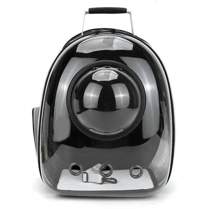 Transparent Pet Carrier with Breathable Design: clear, black cat, modern style
