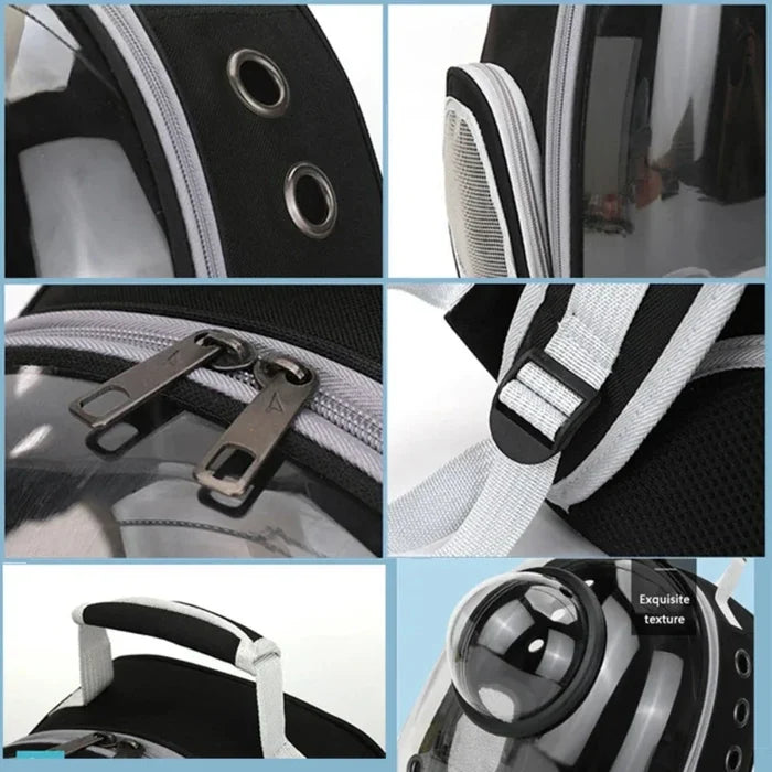 Transparent Pet Carrier with Breathable Design: clear, black cat, modern style