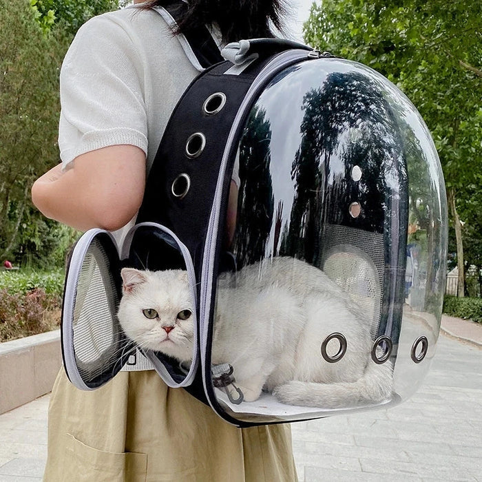 Transparent Pet Carrier with Breathable Design: clear, black cat, modern style