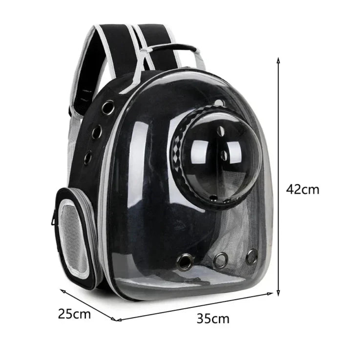 Transparent Pet Carrier with Breathable Design: clear, black cat, modern style