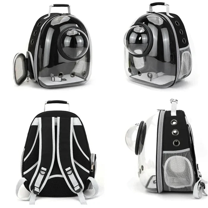 Transparent Pet Carrier with Breathable Design: clear, black cat, modern style