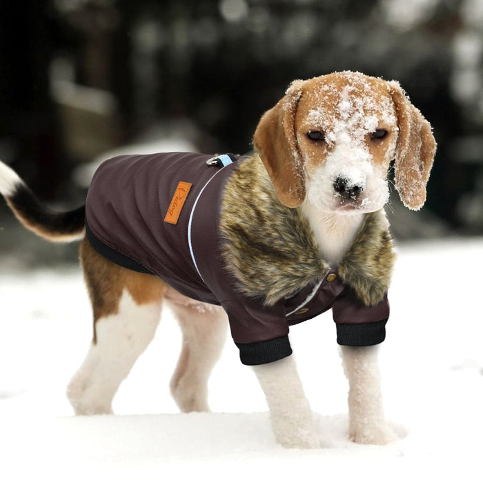 Water-Resistant Faux Leather Canine Jacket with Faux Fur Collar: dark brown, gray-brown faux-fur trim dog, practical winter p
