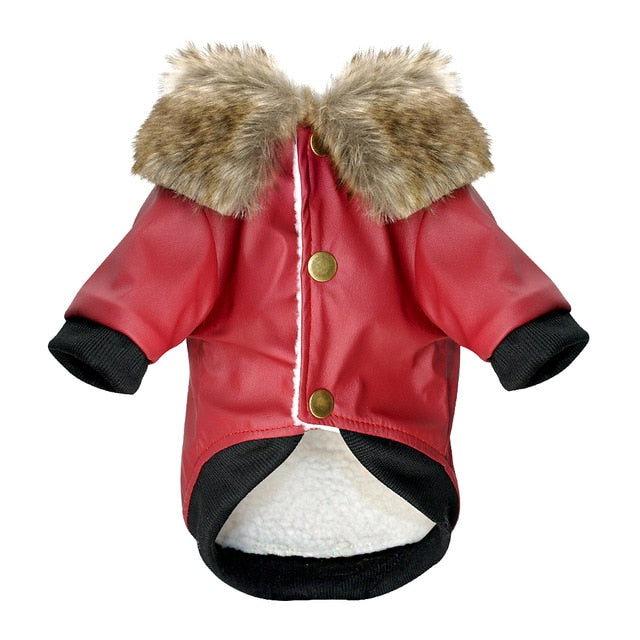 Water-Resistant Faux Leather Canine Jacket with Faux Fur Collar: dark brown, gray-brown faux-fur trim dog, practical winter p