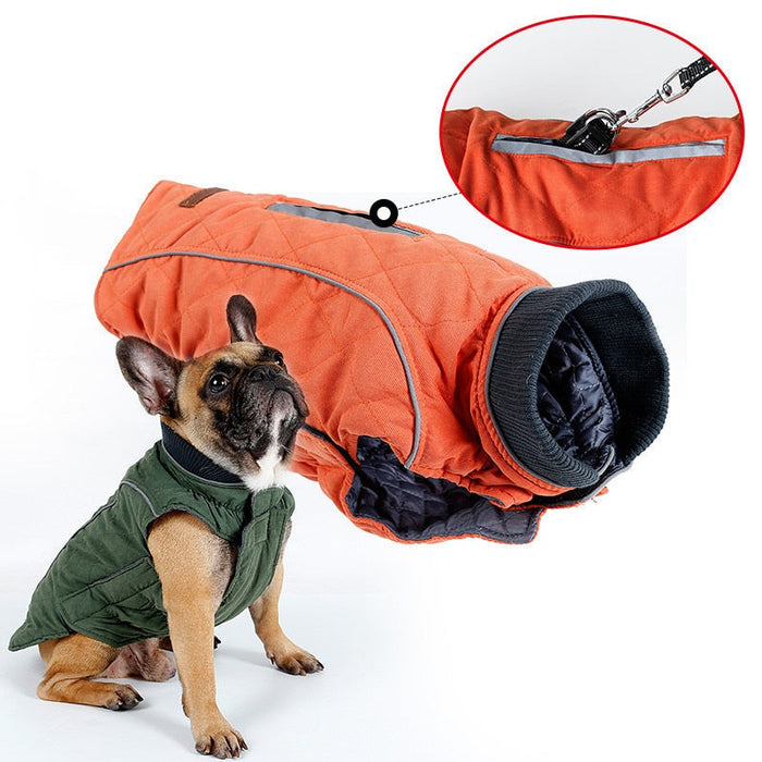 Winter Dog Puffer Vest: Keeping Your Canine Comfy in the Cold: orange, dark gray dog, practical outdoor pet gear style