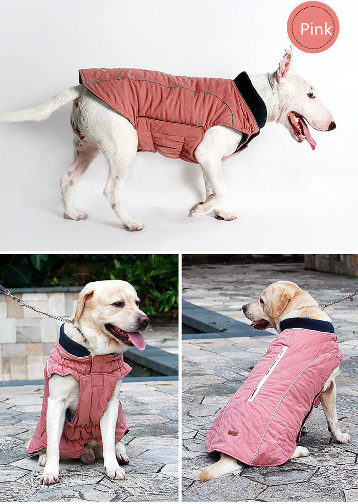Winter Dog Puffer Vest: Keeping Your Canine Comfy in the Cold: orange, dark gray dog, practical outdoor pet gear style