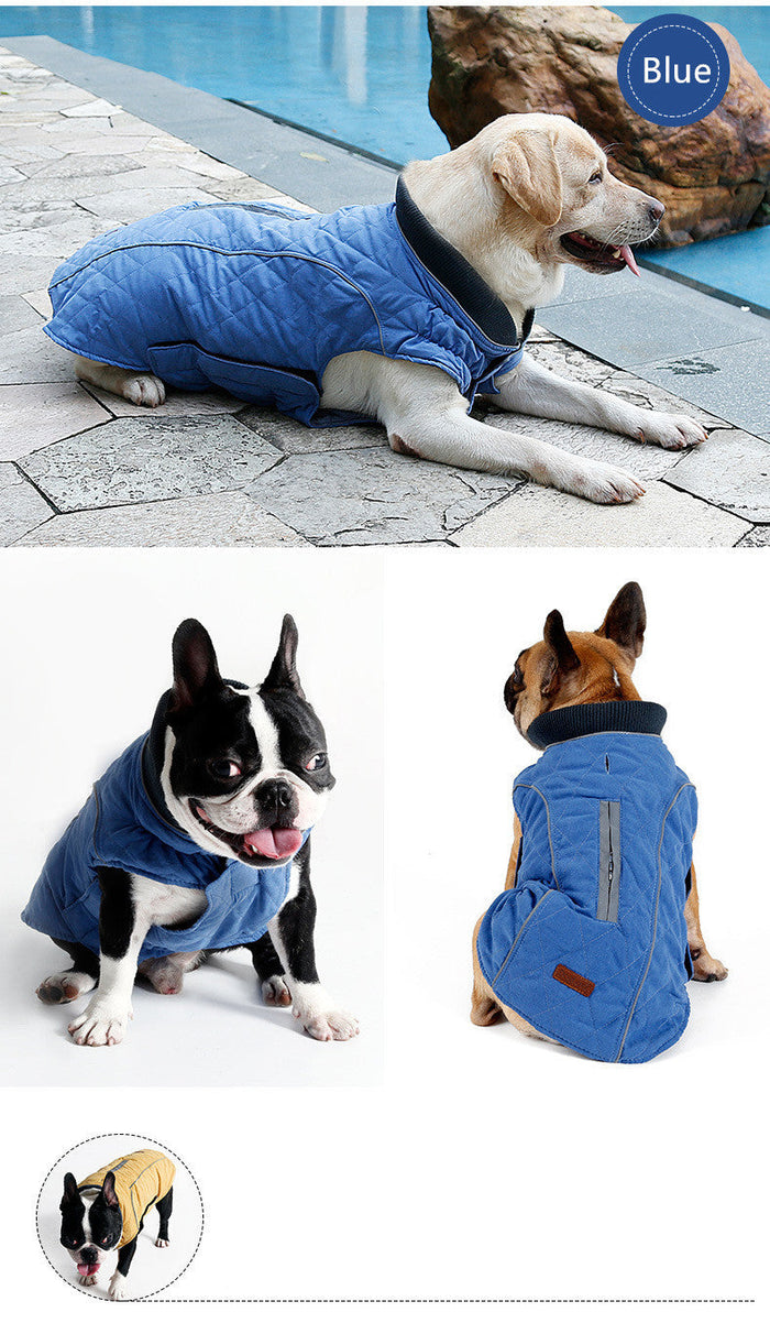 Winter Dog Puffer Vest: Keeping Your Canine Comfy in the Cold: orange, dark gray dog, practical outdoor pet gear style