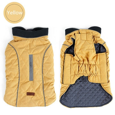Winter Dog Puffer Vest: Keeping Your Canine Comfy in the Cold: orange, dark gray dog, practical outdoor pet gear style