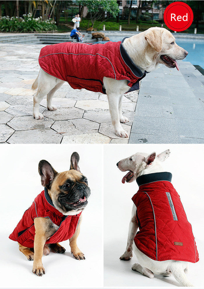Winter Dog Puffer Vest: Keeping Your Canine Comfy in the Cold: orange, dark gray dog, practical outdoor pet gear style