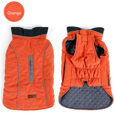 Winter Dog Puffer Vest: Keeping Your Canine Comfy in the Cold: orange, dark gray dog, practical outdoor pet gear style