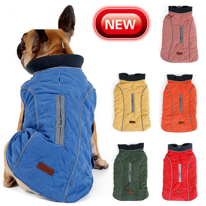 Winter Dog Puffer Vest: Keeping Your Canine Comfy in the Cold: orange, dark gray dog, practical outdoor pet gear style