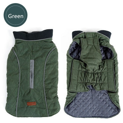 Winter Dog Puffer Vest: Keeping Your Canine Comfy in the Cold: orange, dark gray dog, practical outdoor pet gear style