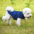 Winter Vest to Keep Dogs Cozy in Cold Weather: navy blue, white white dog, practical style