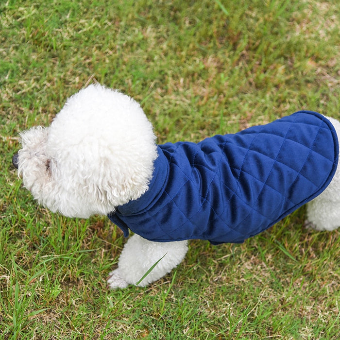 Winter Vest to Keep Dogs Cozy in Cold Weather: navy blue, white white dog, practical style