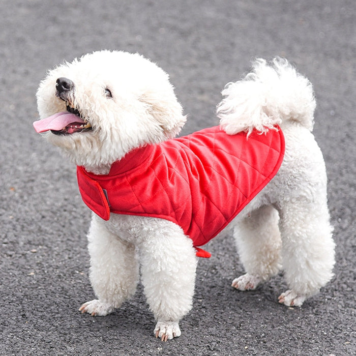 Winter Vest to Keep Dogs Cozy in Cold Weather: navy blue, white white dog, practical style
