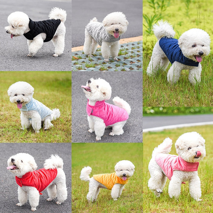 Winter Vest to Keep Dogs Cozy in Cold Weather: navy blue, white white dog, practical style