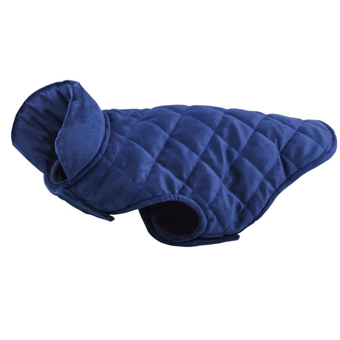 Winter Vest to Keep Dogs Cozy in Cold Weather: navy blue, white white dog, practical style