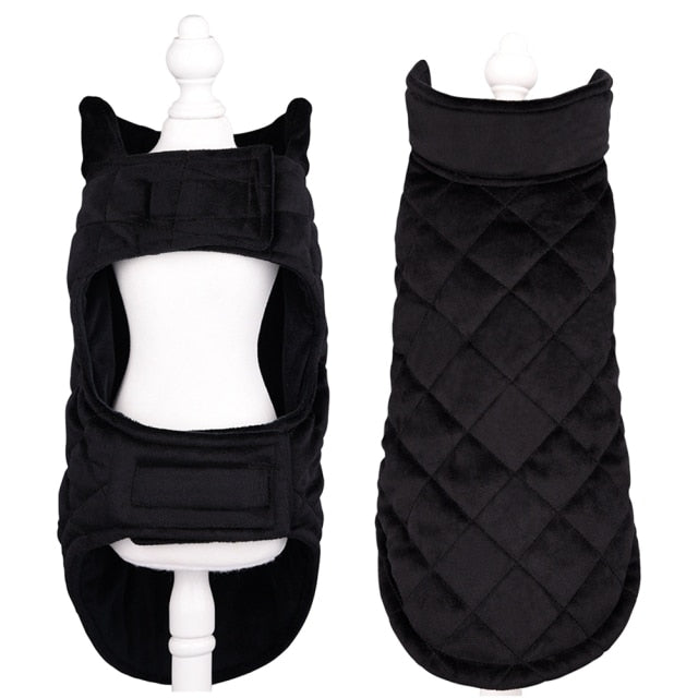 Winter Vest to Keep Dogs Cozy in Cold Weather: navy blue, white white dog, practical style